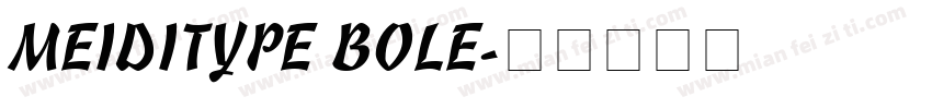 MEIDITYPE BOLE字体转换